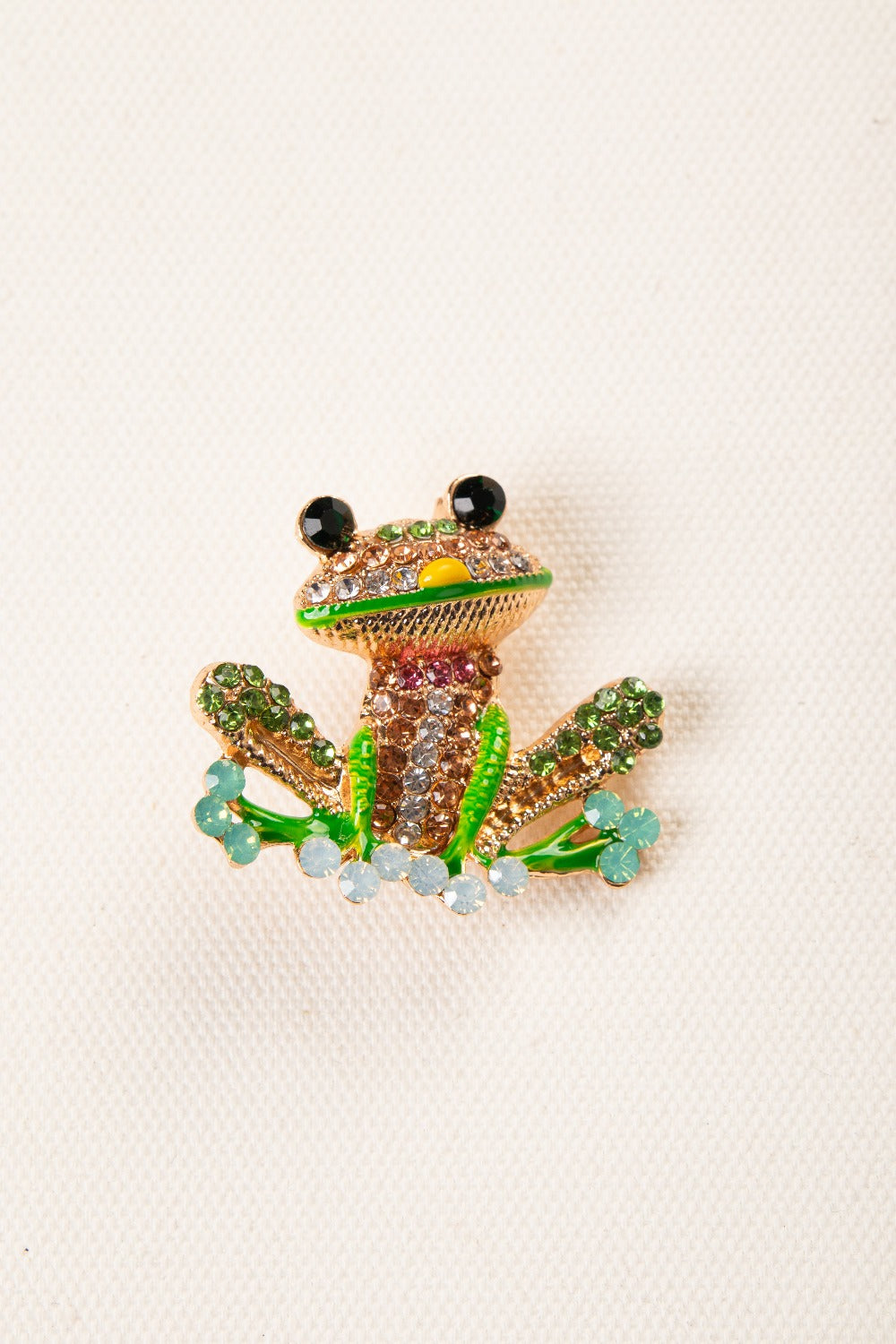 Funny Frog  Brooch- Multi Color