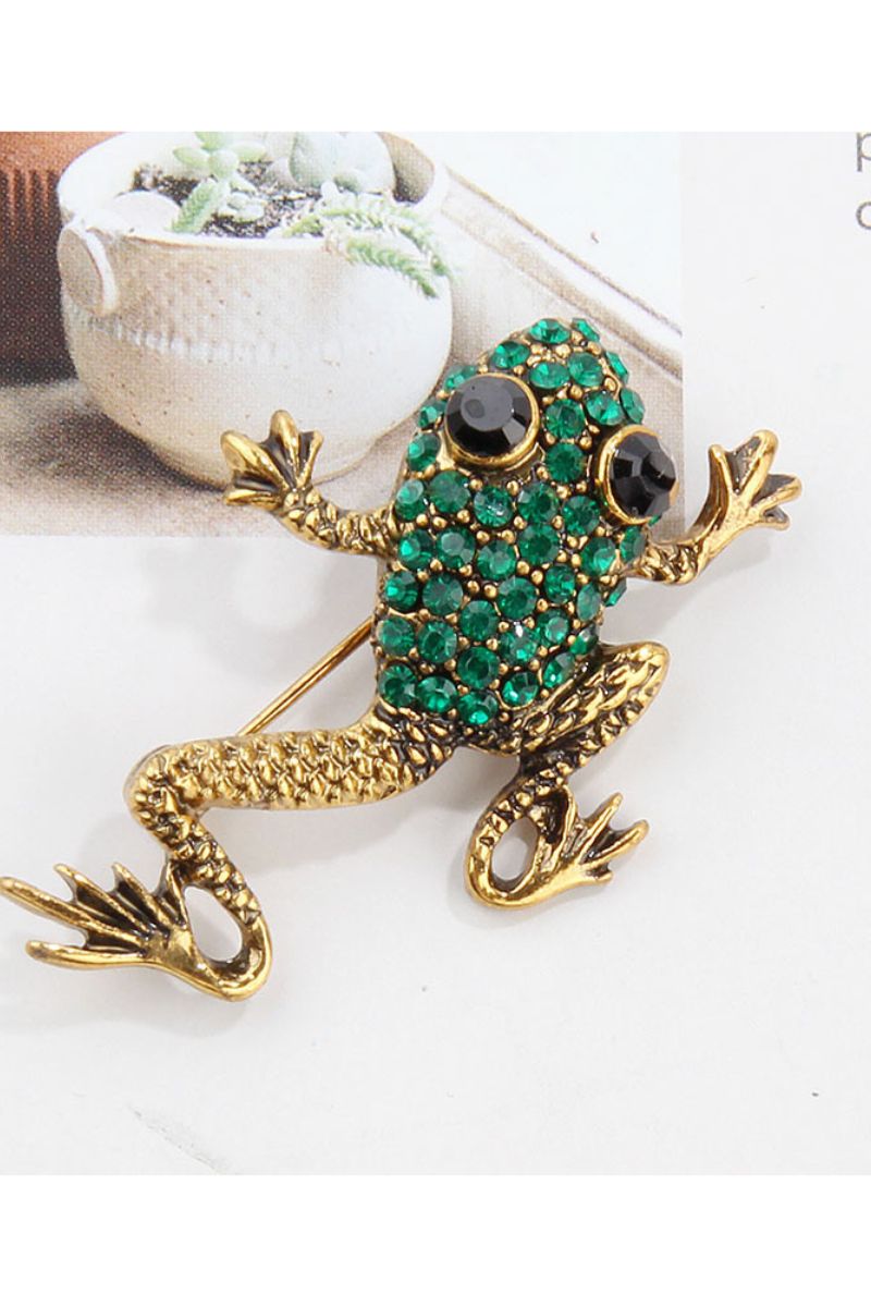 Enchanting Gaze Frog Brooch