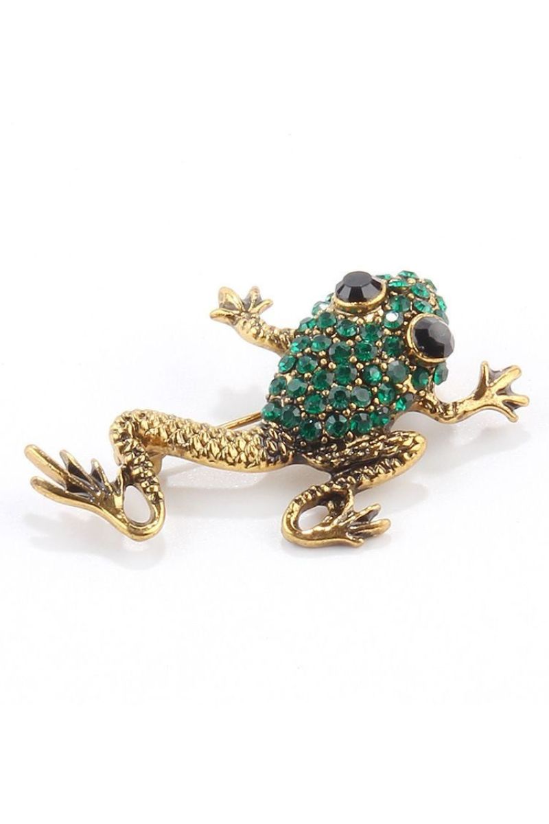 Enchanting Gaze Frog Brooch